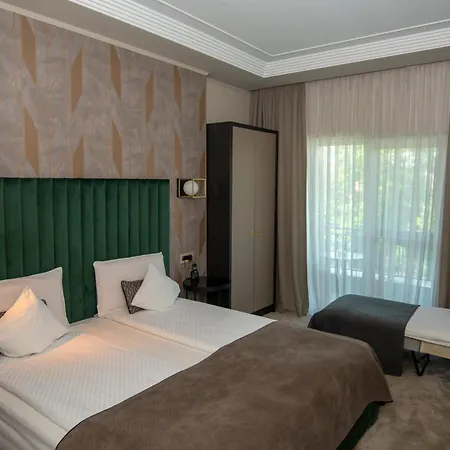Pensiunea Nora Prestige&prestige Art Hotel 4*