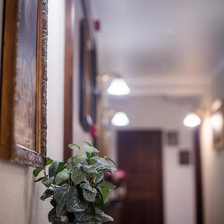 Hotel Pensiunea Nora Prestige