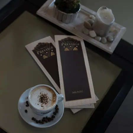Hotel Pensiunea Nora Prestige&prestige Art Timişoara